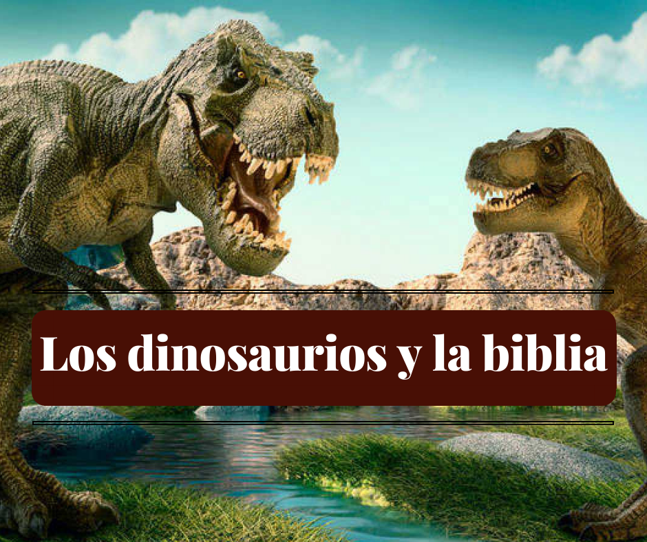 Los dinosaurios y la biblia - Teología para el Camino